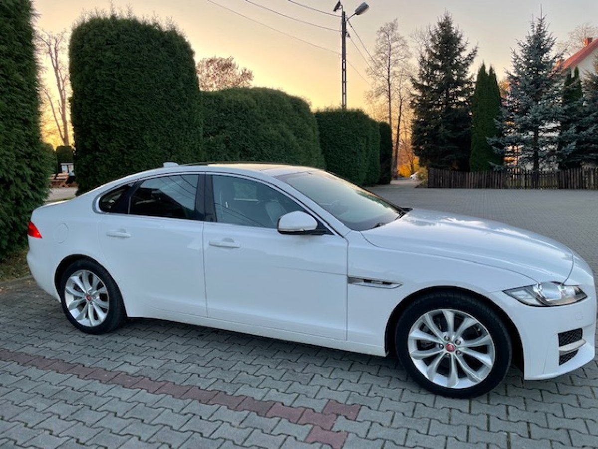Jaguar XF 25t Premium AWD 2019