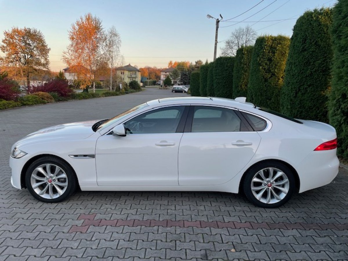 Jaguar XF 25t Premium AWD 2019