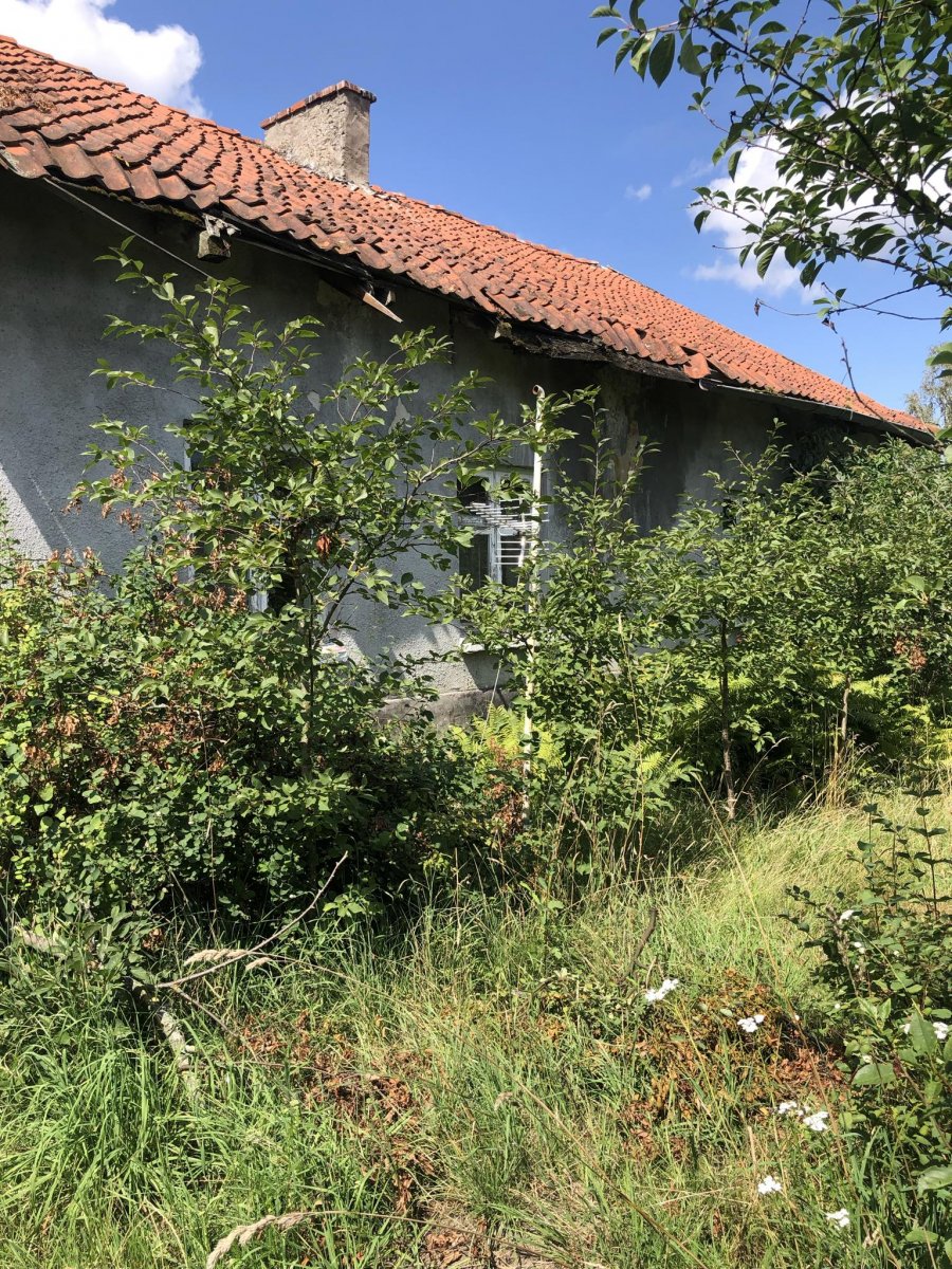 Sprzedam dom/siedlisko