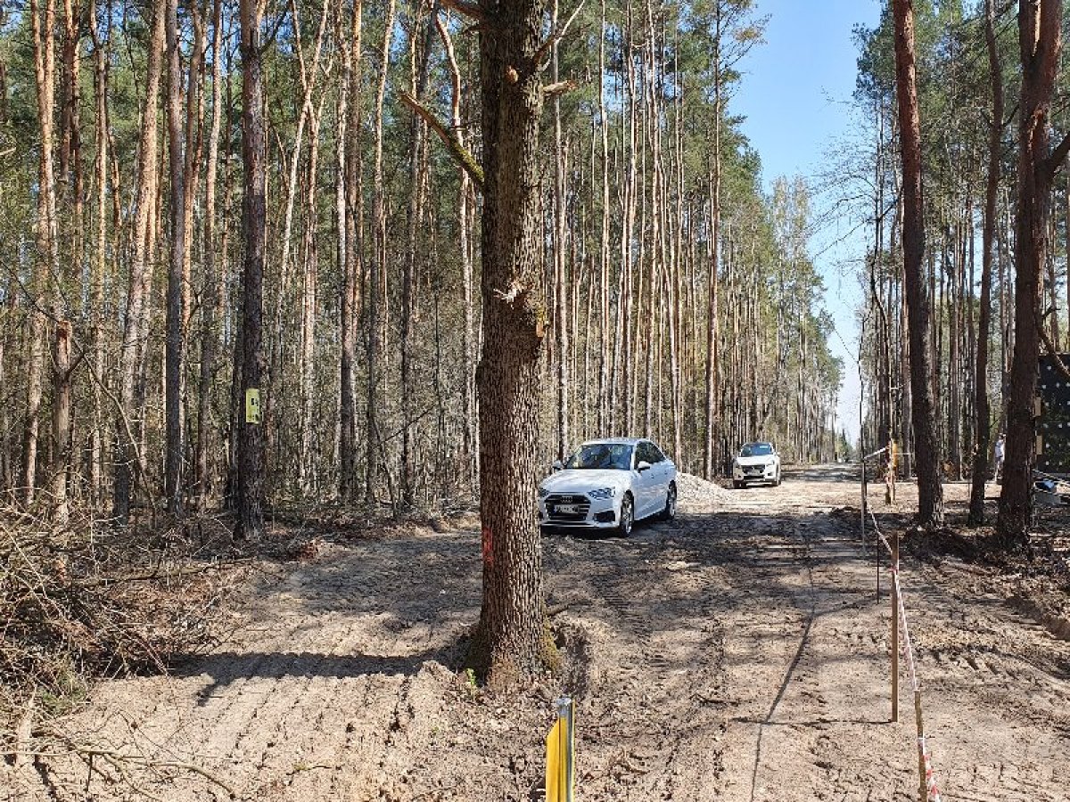 Strzeniówka gm. Nadarzyn. Leśna działka budowlana