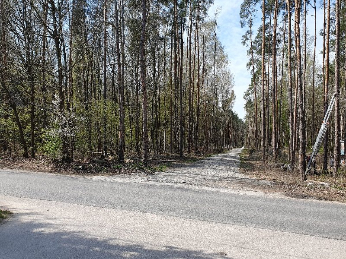 Strzeniówka gm. Nadarzyn. Leśna działka budowlana