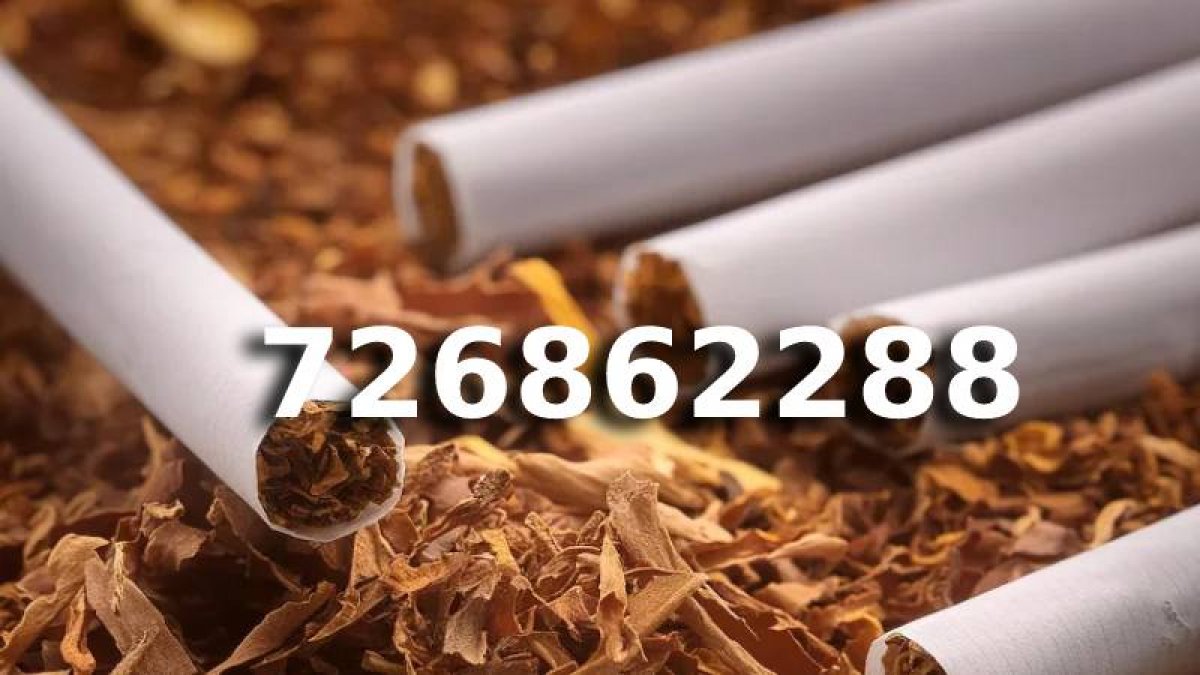 Tani TYTOŃ na wagę 90 PLN / 1KG PETARDA!