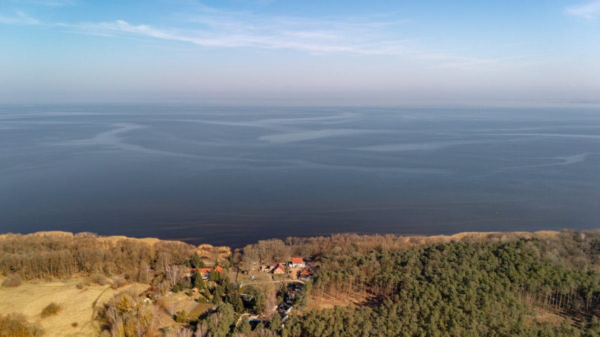 Działka z prywatnym lasem przy zalewie Szczecińskim.