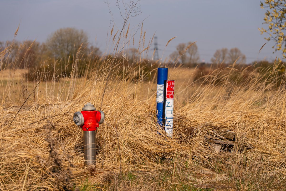 Działka w zielonej okolicy z mediami, obok widok na Odrę