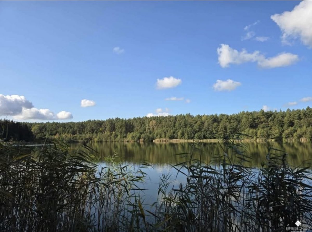 Działka z warunkami zabudowy teren pojezierza mazurskiego DO NEGOCJACJI