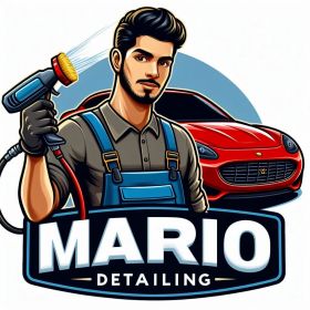 Mario Detailing 