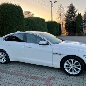 Jaguar XF 25t Premium AWD 2019