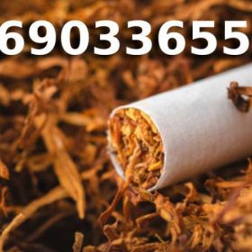 EXTRA Jakości Tani TYTOŃ na wagę 85 PLN / 1KG