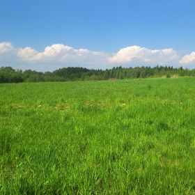 Działka budowlana w centrum Dominikowic (woj.małopolskie)