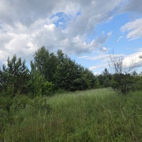 Działka rolna siedliskowa z pozwoleniem na zabudowę zagrodową 