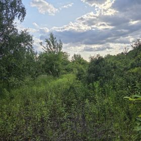 Działka rolna siedliskowa z pozwoleniem na zabudowę zagrodową 
