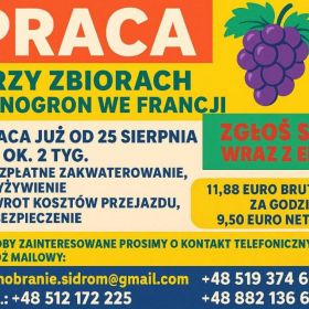 WINOBRANIE FRANCJA