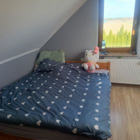 Sprzedam dom wolnostający
