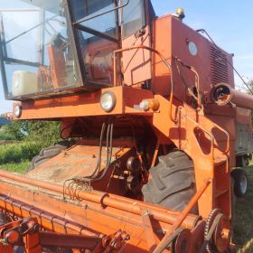 Sprzedam dwa bizony z056