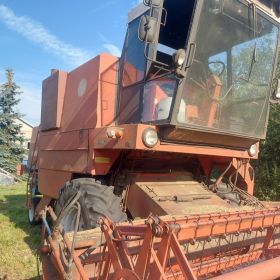 Sprzedam dwa bizony z056