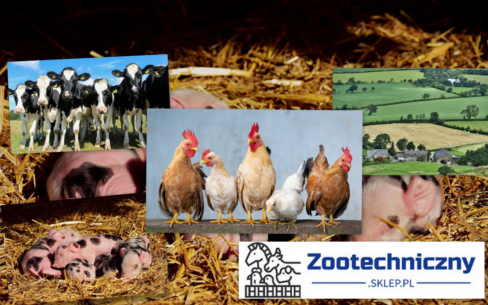 Agropilot Grzegorz Chojnacki