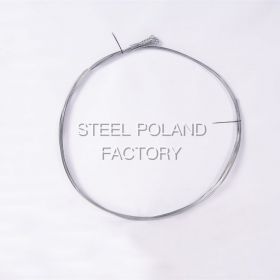 Steel Poland Factory S.C. Tomasz Łysoń & Sylwia Błasiak 